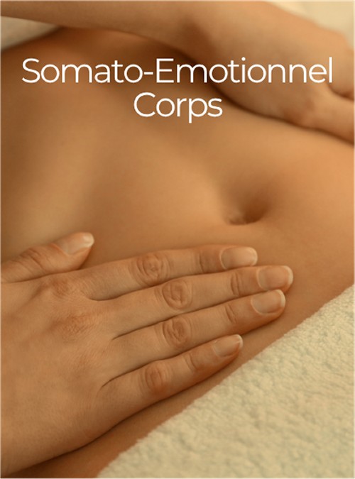 Somatao Body